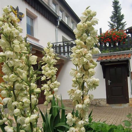 Ferienhaus Haus Am Wald Stolberg i. Harz Εξωτερικό φωτογραφία