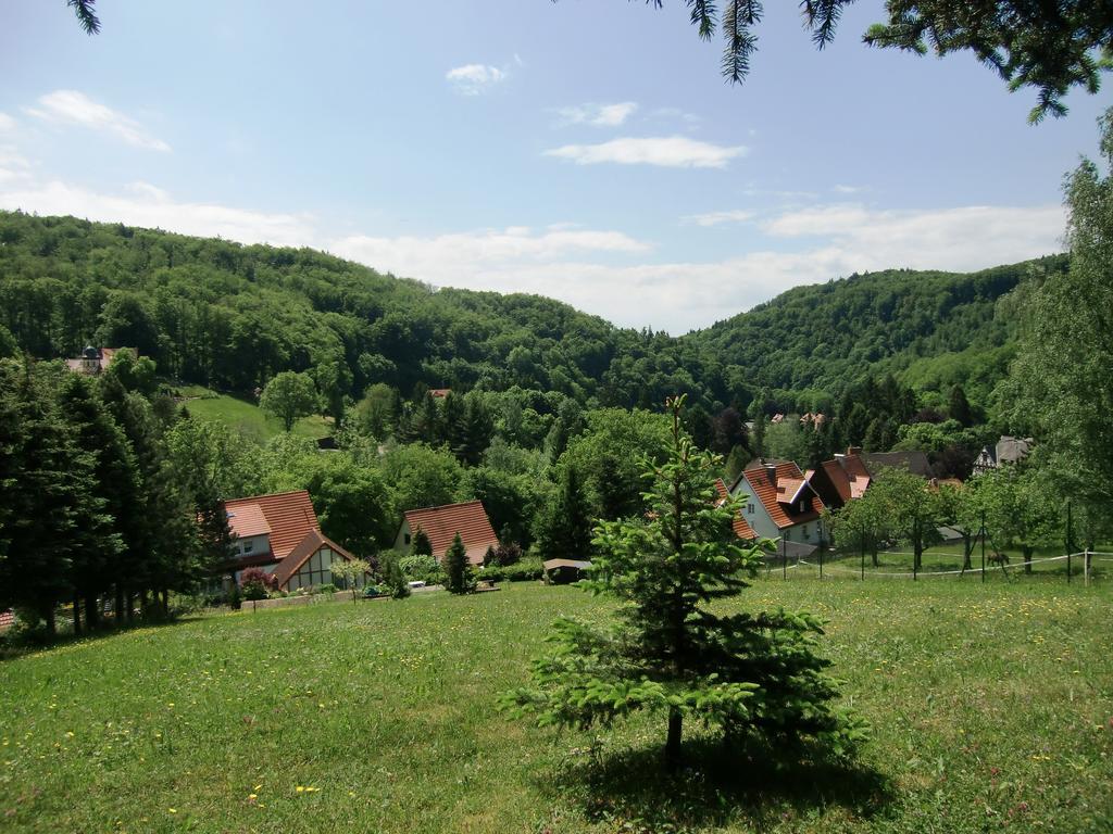 Ferienhaus Haus Am Wald Stolberg i. Harz Εξωτερικό φωτογραφία