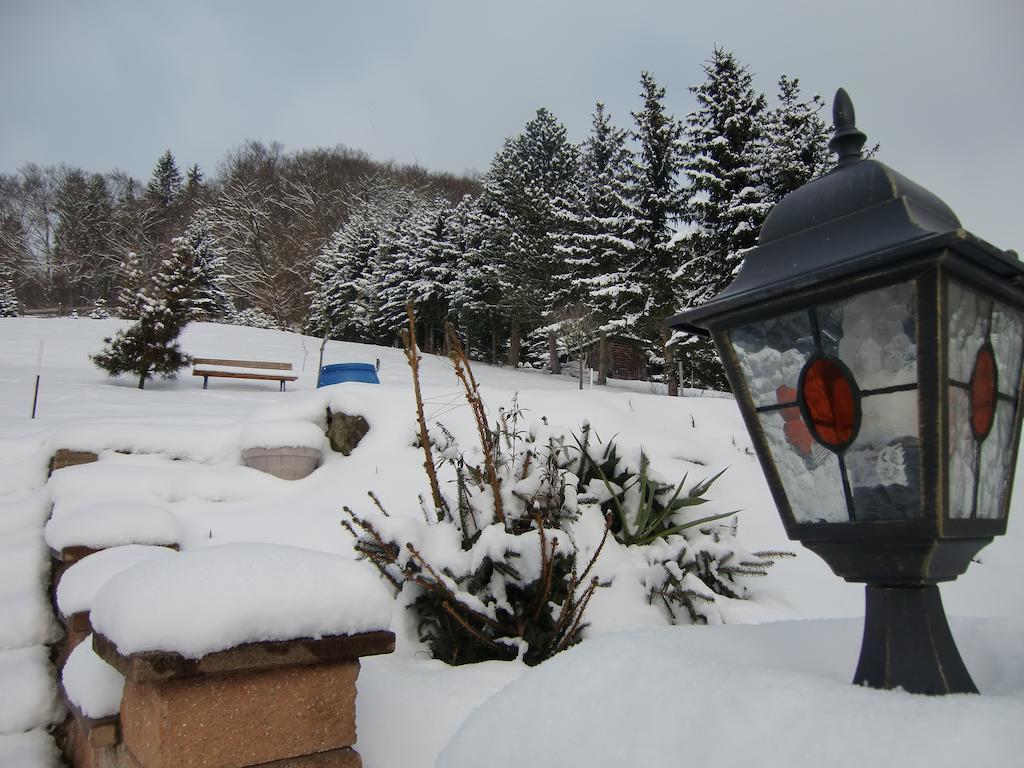 Ferienhaus Haus Am Wald Stolberg i. Harz Εξωτερικό φωτογραφία