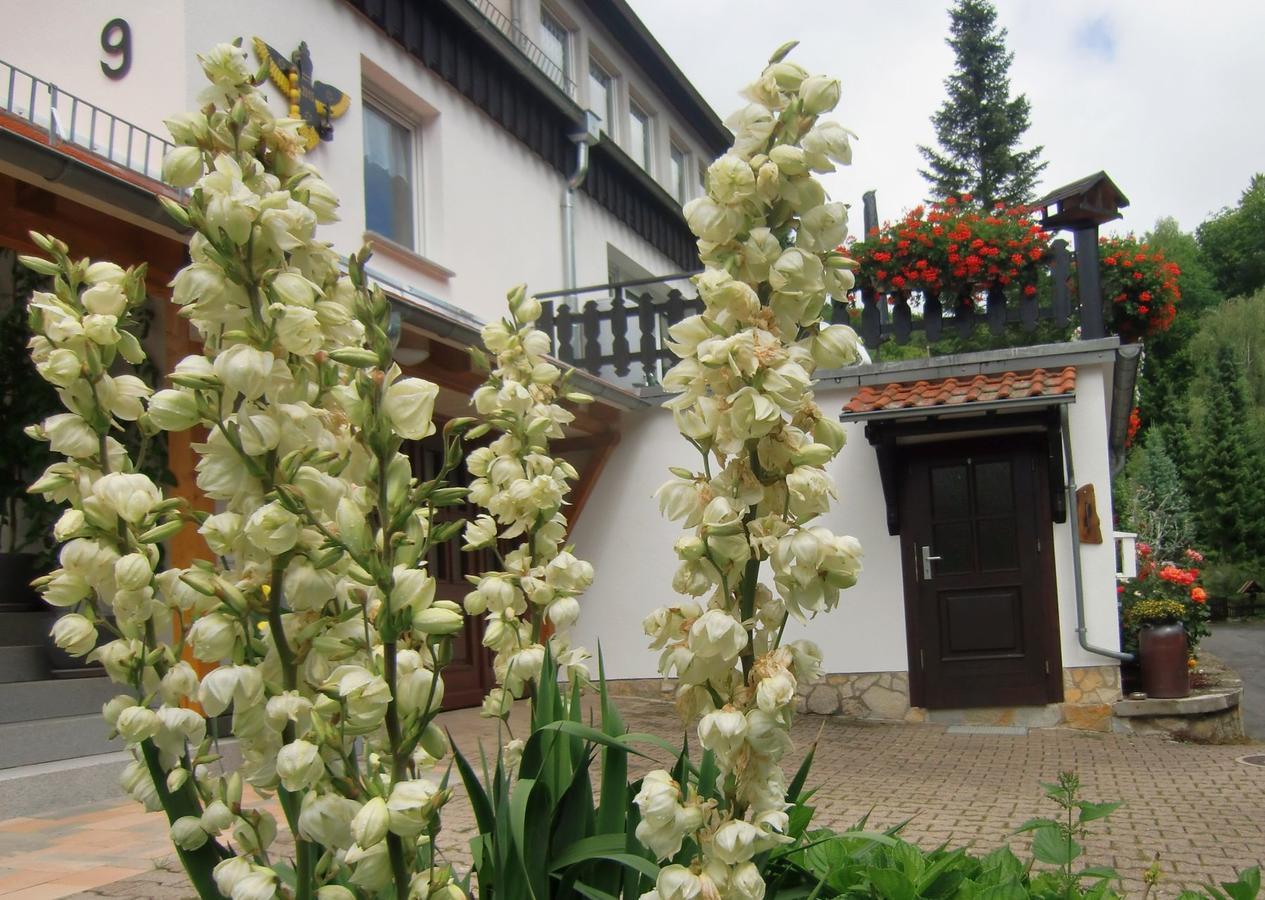 Ferienhaus Haus Am Wald Stolberg i. Harz Εξωτερικό φωτογραφία