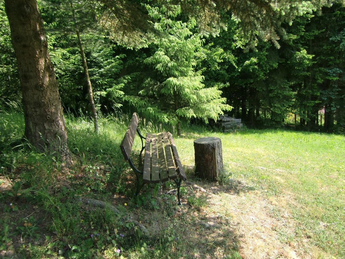 Ferienhaus Haus Am Wald Stolberg i. Harz Εξωτερικό φωτογραφία